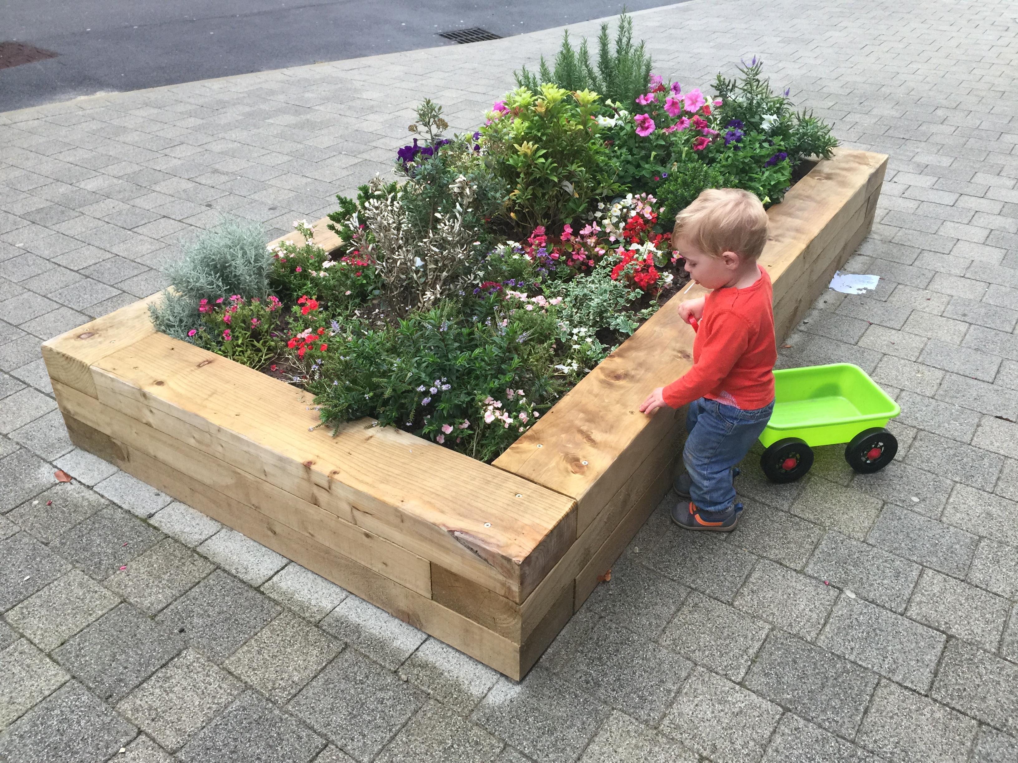 school planters